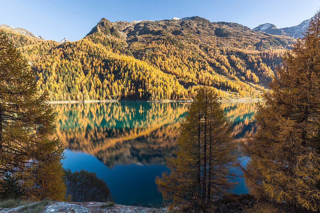 Lago di Gioveretto (Zufrittsee) during autumn, Val Martello, Venosta Valley, province of Bolzano, South Tyrol, Italy