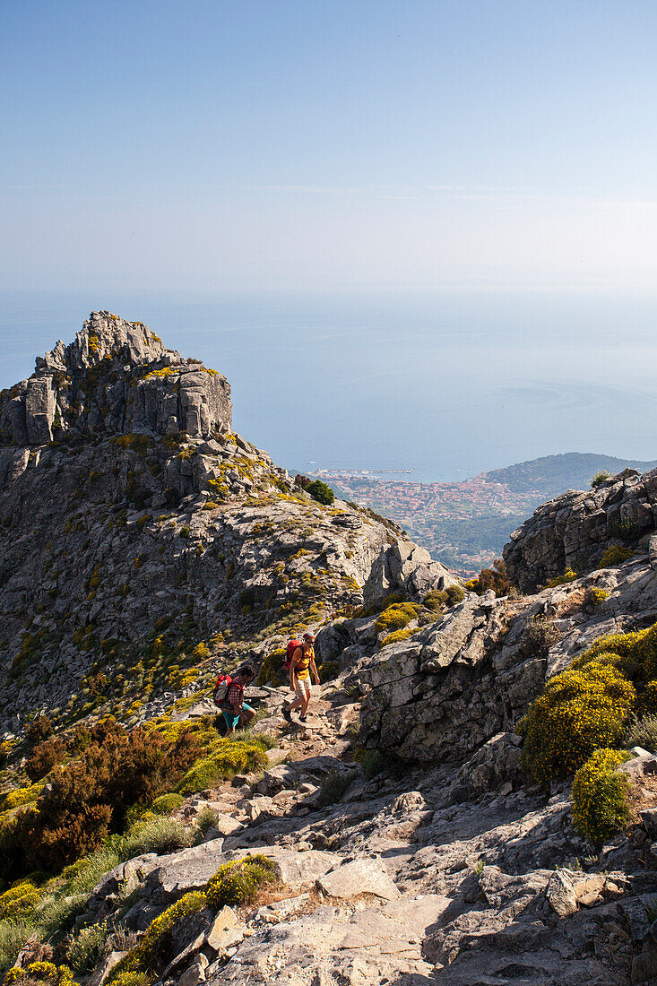 Hikers on path towards the peak of Monte Capanne, Elba Island, Livorno Province, Tuscany, Italy