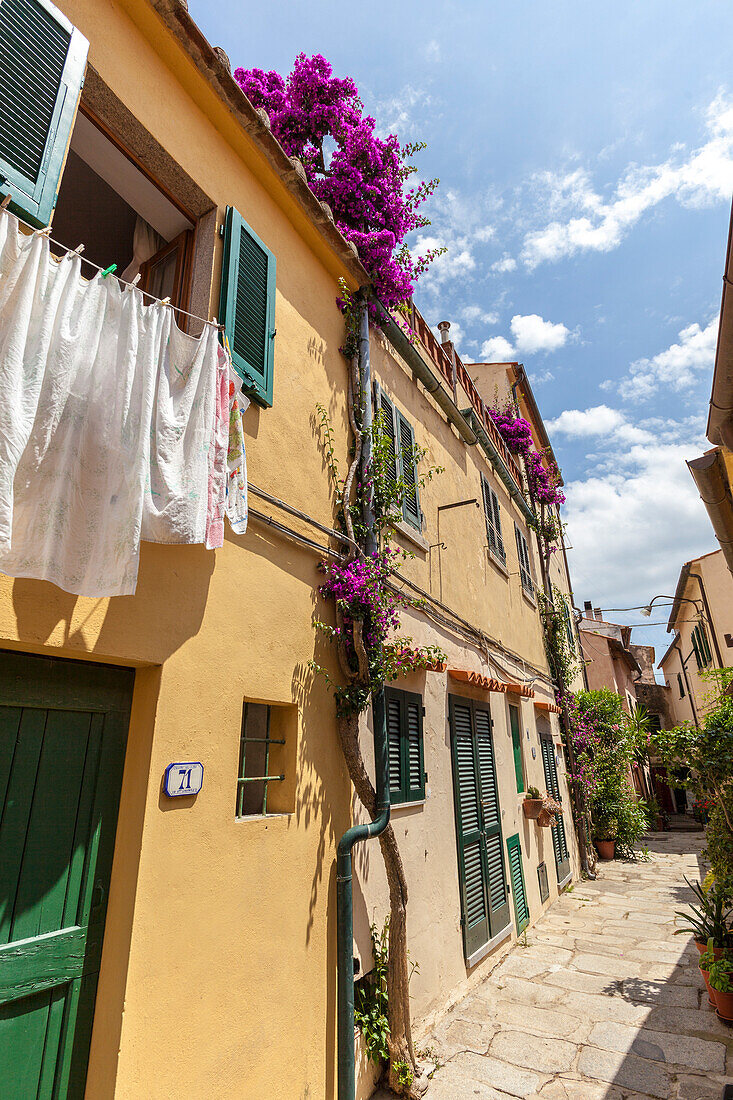 Ancient alley, Sant'Ilario in Campo, Elba Island, Livorno Province, Tuscany, Italy