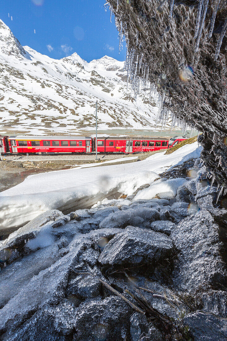 Bernina Express train at Lago Bianco, Bernina Pass, canton of Graubunden, Engadine, Switzerland