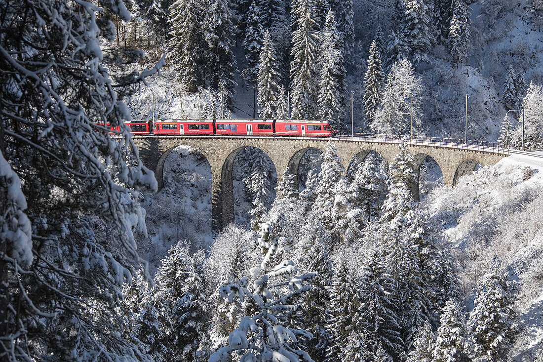 Bernina Express train on Landwasser Viadukt, Filisur, Albula Valley, Canton of Graubünden, Switzerland