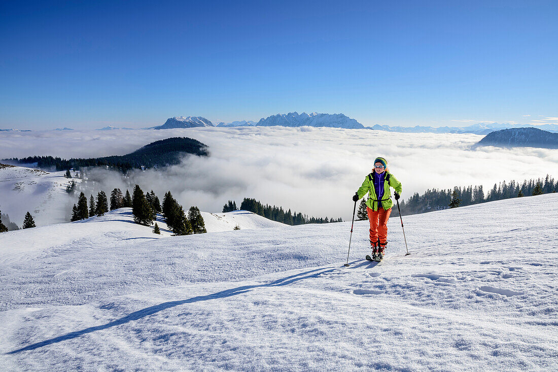 Woman backcountry skiing ascending towards Trainsjoch, fog and Kaiser range in background, Trainsjoch, Bavarian Alps, Upper Bavaria, Bavaria, Germany