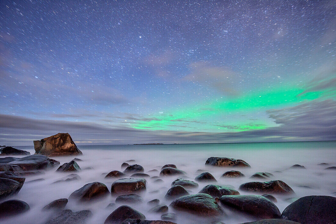 Felsen am Strand mit Nordlicht und Sternenhimmel, Polarlicht, Aurora borealis, Lofoten, Nordland, Norwegen