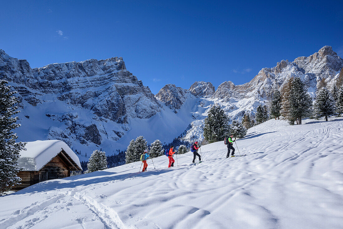 Several persons backcountry skiing ascending to Medalges, Geisler range in background, Medalges, Natural Park Puez-Geisler, UNESCO world heritage site Dolomites, Dolomites, South Tyrol, Italy