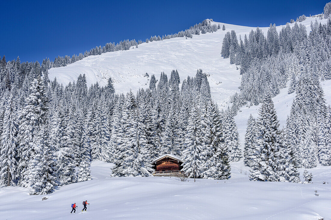 Zwei Personen auf Skitour steigen zum Wildalpjoch auf, Wildalpjoch, Bayerische Alpen, Oberbayern, Bayern, Deutschland
