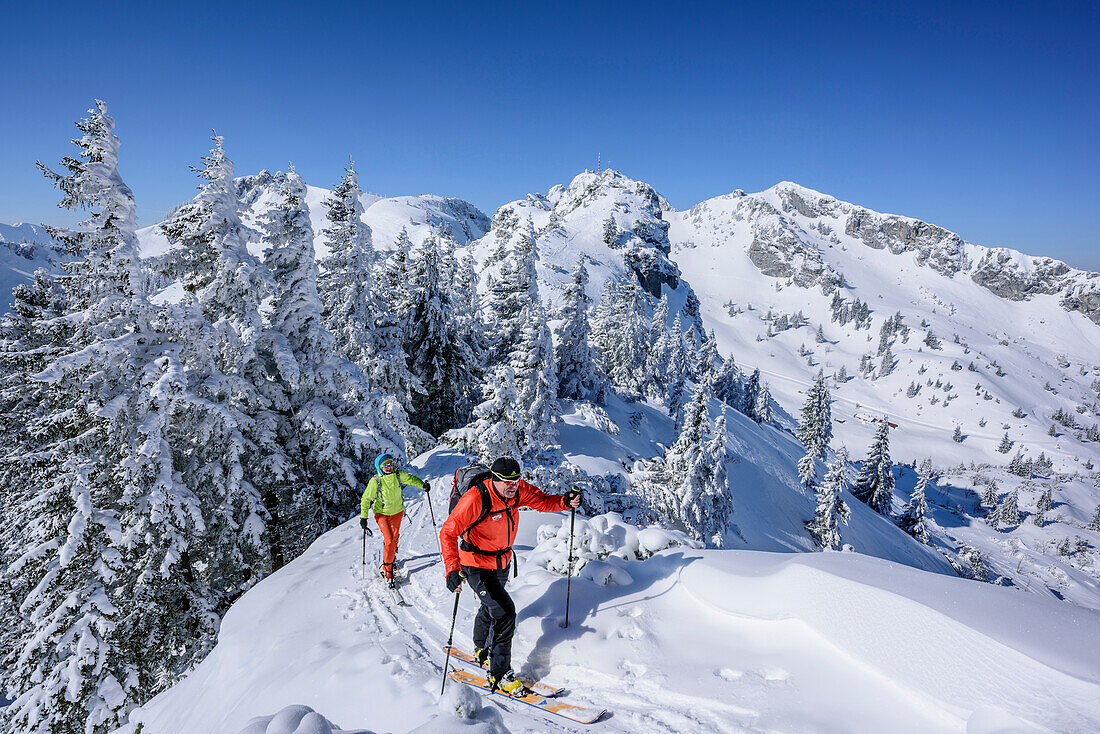 Zwei Personen auf Skitour steigen zum Wildalpjoch auf, Wildalpjoch, Bayerische Alpen, Oberbayern, Bayern, Deutschland