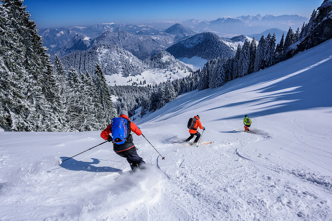 Drei Personen auf Skitour fahren vom Wildalpjoch ab, Wildalpjoch, Bayerische Alpen, Oberbayern, Bayern, Deutschland