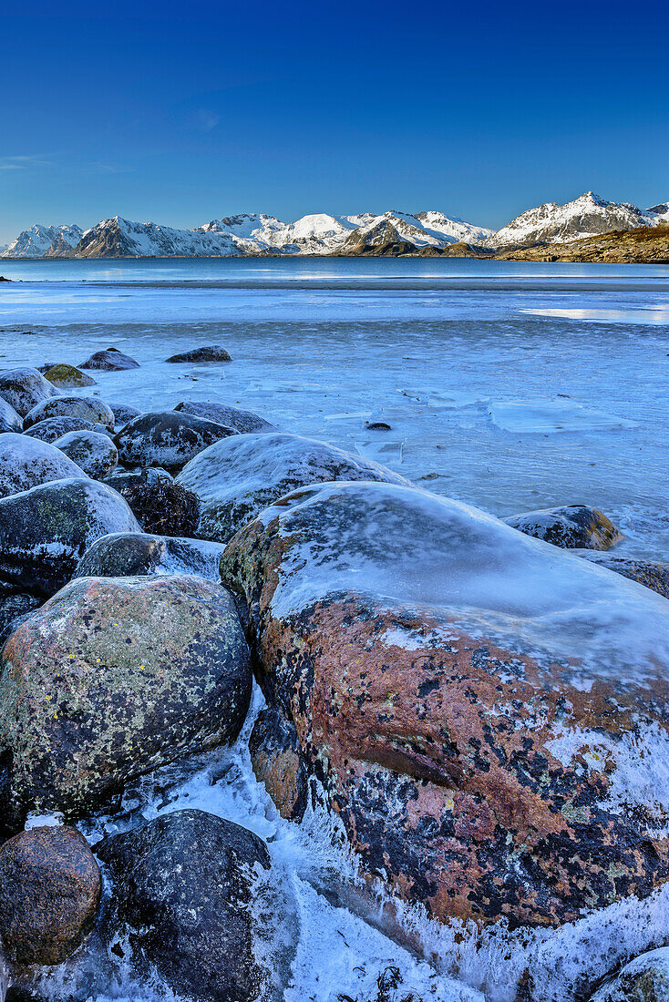 Vereiste Felsen am Strand mit verschneiten Bergen im Hintergrund, Lofoten, Nordland, Norwegen