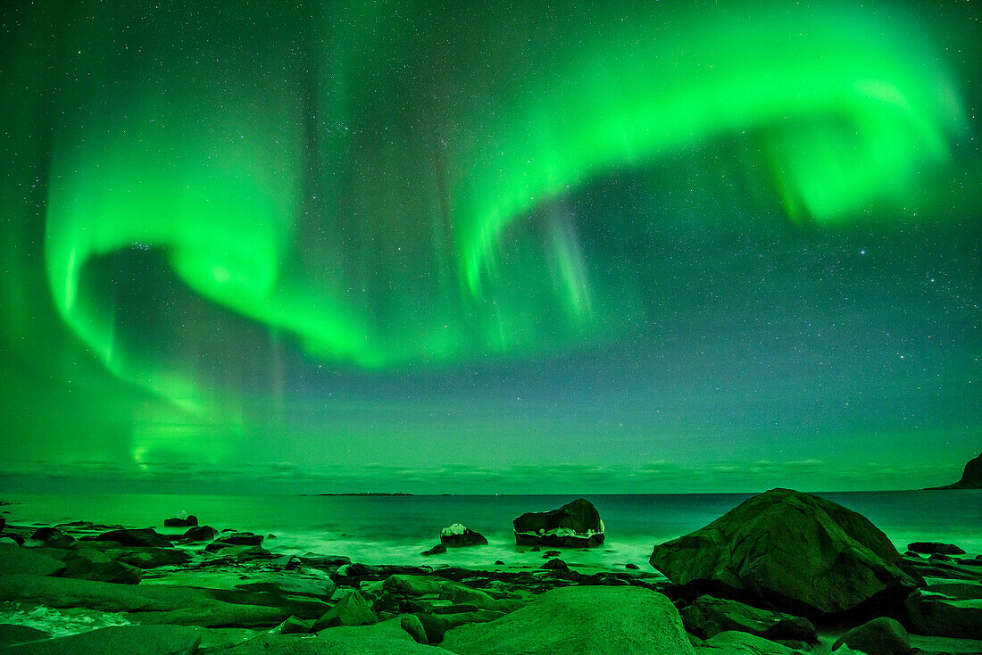 Strand mit Nordlicht und Sternhimmel, Polarlicht, Aurora borealis, Lofoten, Nordland, Norwegen