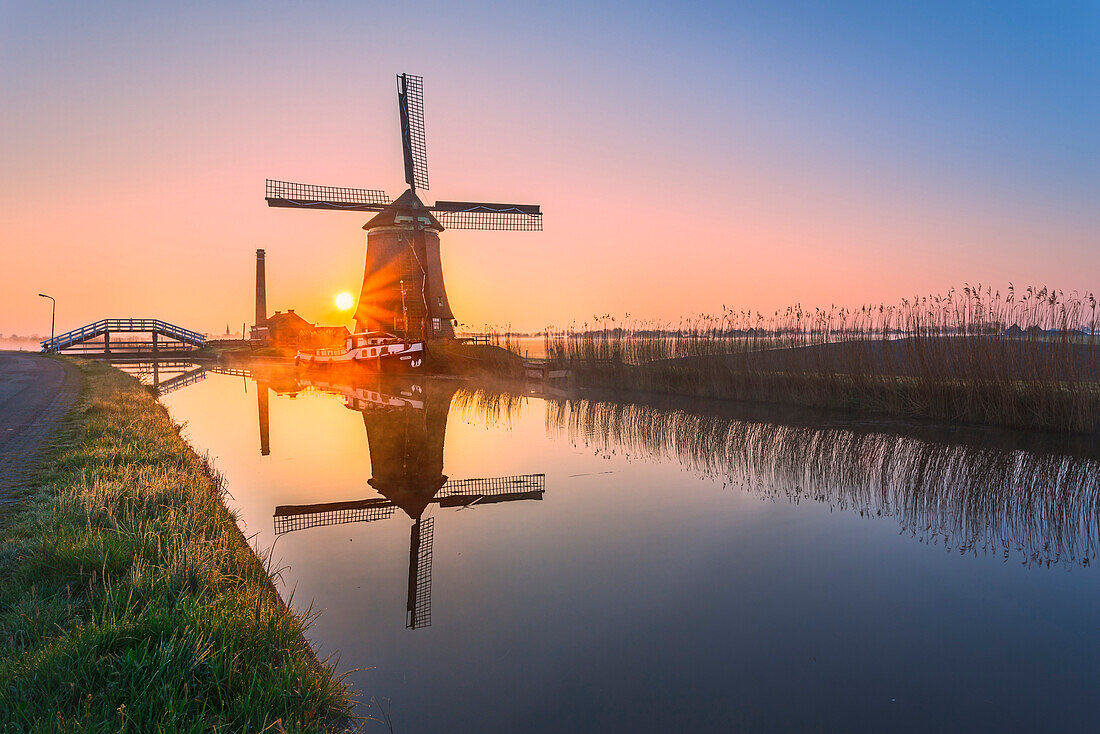 Windmill reflected in the canal framed by grass and pink sky at dawn, North Holland, The Netherlands