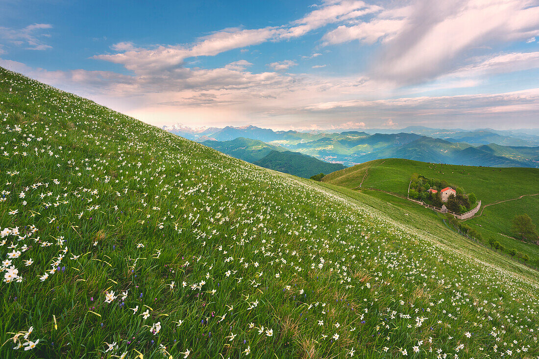 Mount Linzone, Orobie alps, Lombardy district, Bergamo province, Italy