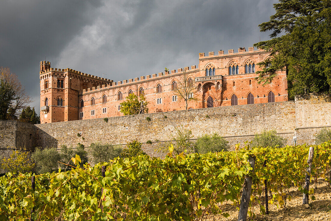 Brolio castle, Gaiole in Chianti, Siena province, Tuscany, Italy.