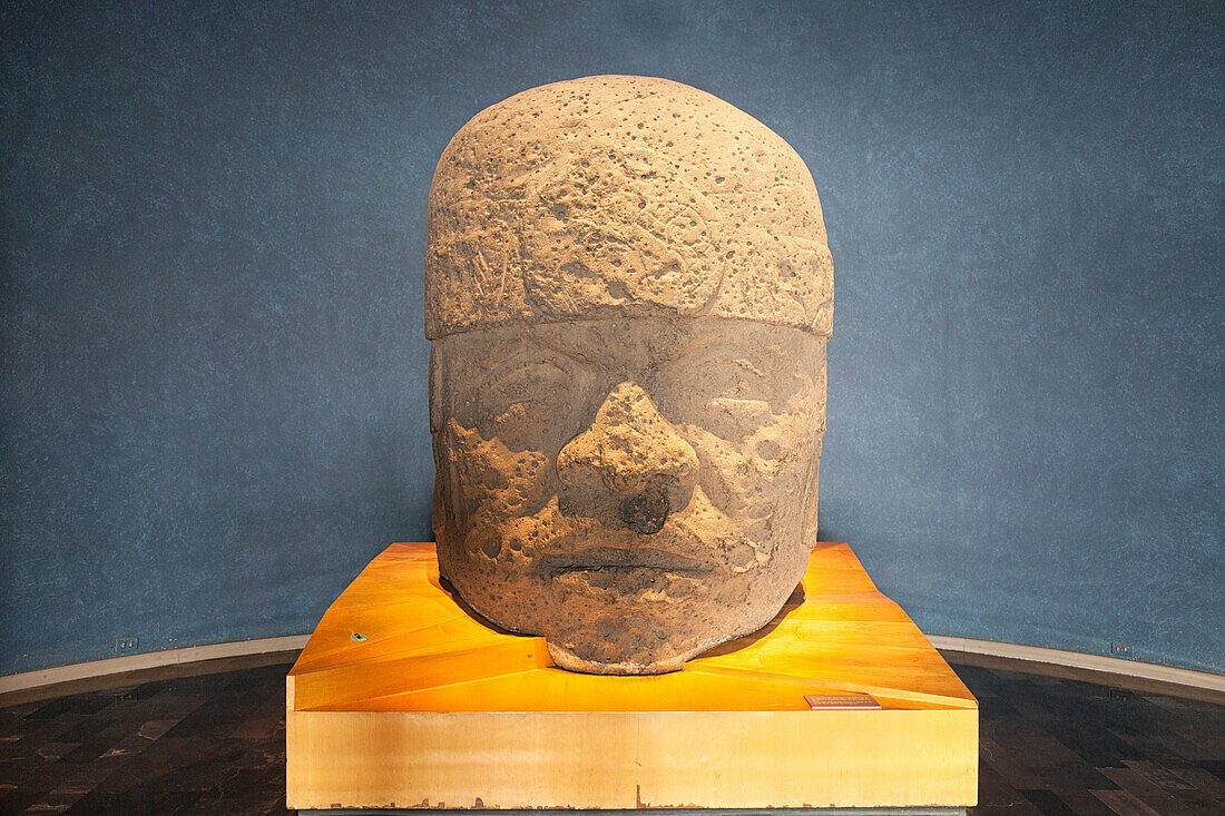 Olmec colossal head, National Museum of Anthropology of Mexico City, Mexico City, Mexico DF, Mexico.