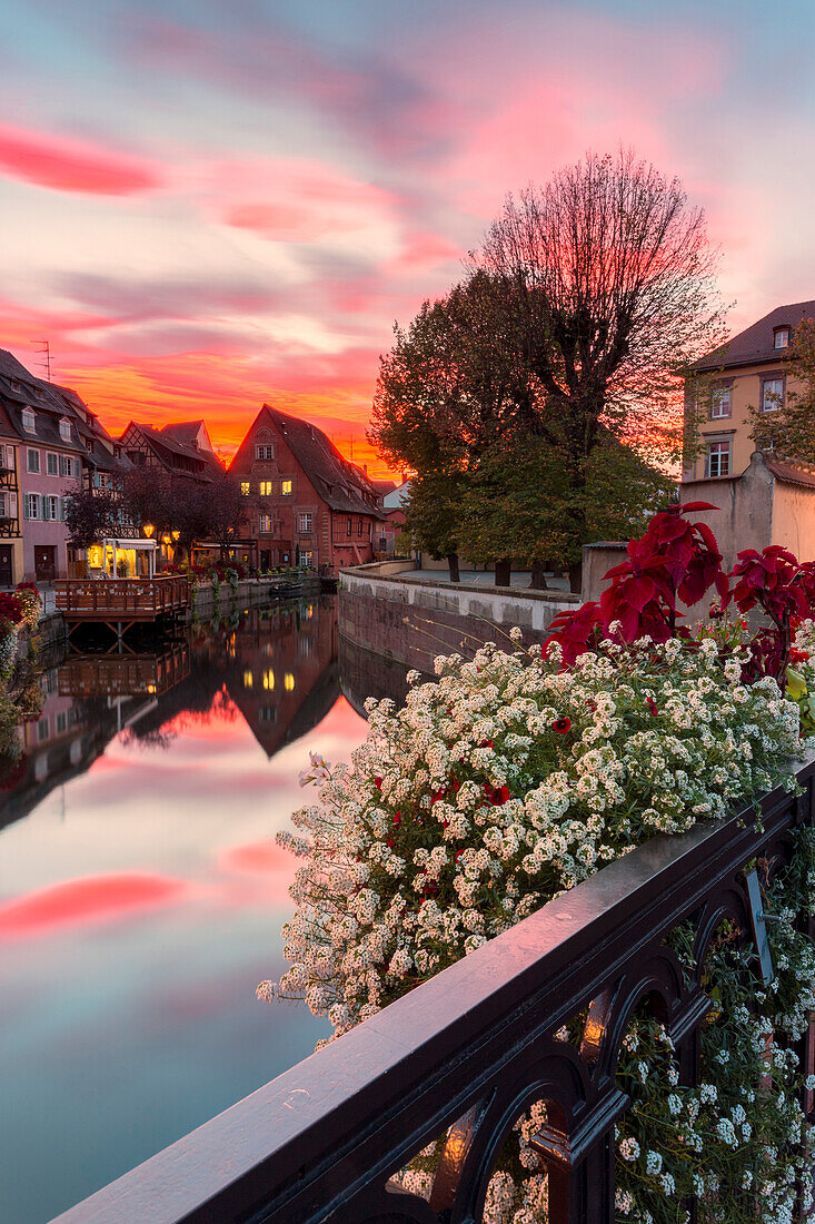 Petit Venice at sunset, Colmar, Haut-Rhin department, Grand Est region, Alsace, France