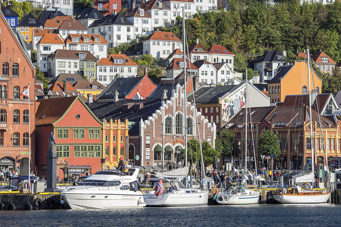 Historic houses in the hanseatic quater Bryggen, old town of Bergen, Hordaland, Southern norway, Norway, Scandinavia, Northern Europe, Europe