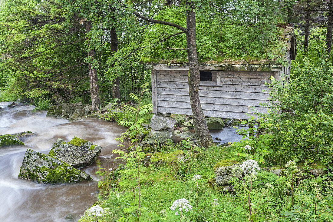 Alte Wassermühle am Hauskeås in Hauske, Hjelmeland, Rogaland, Fjordnorwegen, Südnorwegen, Norwegen, Skandinavien, Nordeuropa, Europa