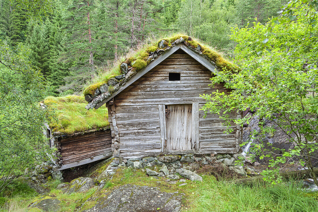 Old watermill in museum Ryfylkemuseet by Suldalslagen, Kolbeinstveit, near Sand, Rogaland, Fjord norway, Southern norway, Norway, Scandinavia, Northern Europe, Europe