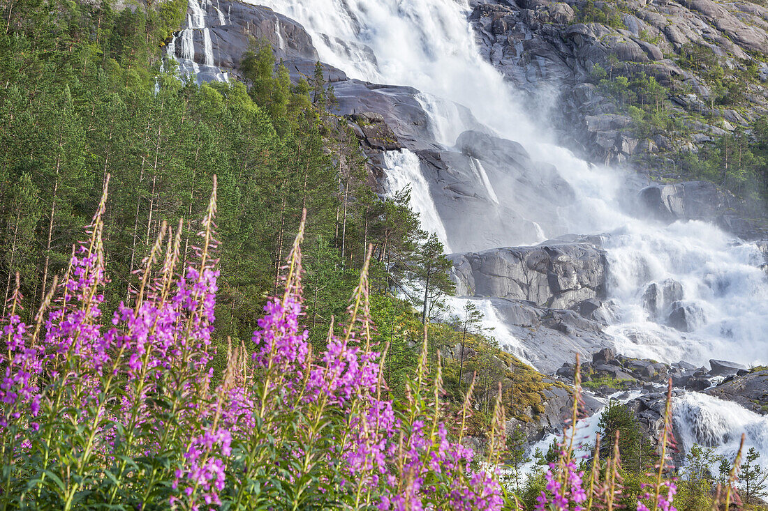 Wasserfall Langfossen am Åkrafjord, bei Etne, Hordaland, Fjordnorwegen, Südnorwegen, Norwegen, Skandinavien, Nordeuropa, Europa