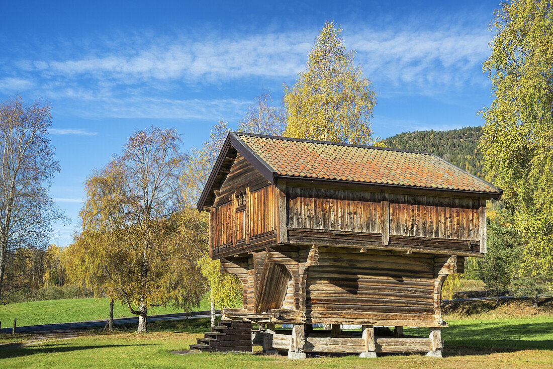 Typical granary near Tuddal, Telemark, Østlandet, Southern norway, Norway, Scandinavia, Northern Europe, Europe