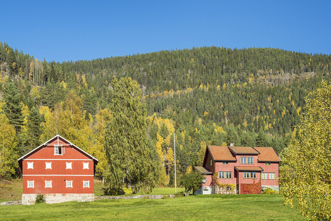 Farm near Vrådal, Telemark, Østlandet, Southern norway, Norway, Scandinavia, Northern Europe, Europe