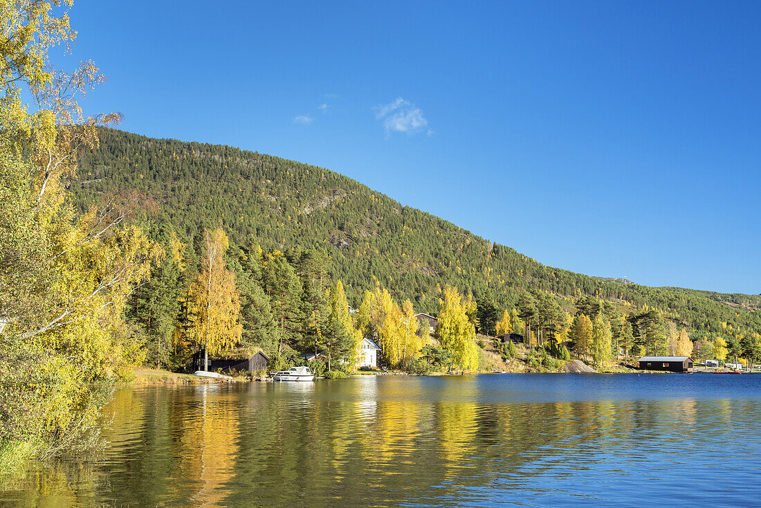 Lake Nisser in autumn, near Vrådal, Telemark, Østlandet, Southern norway, Norway, Scandinavia, Northern Europe, Europe