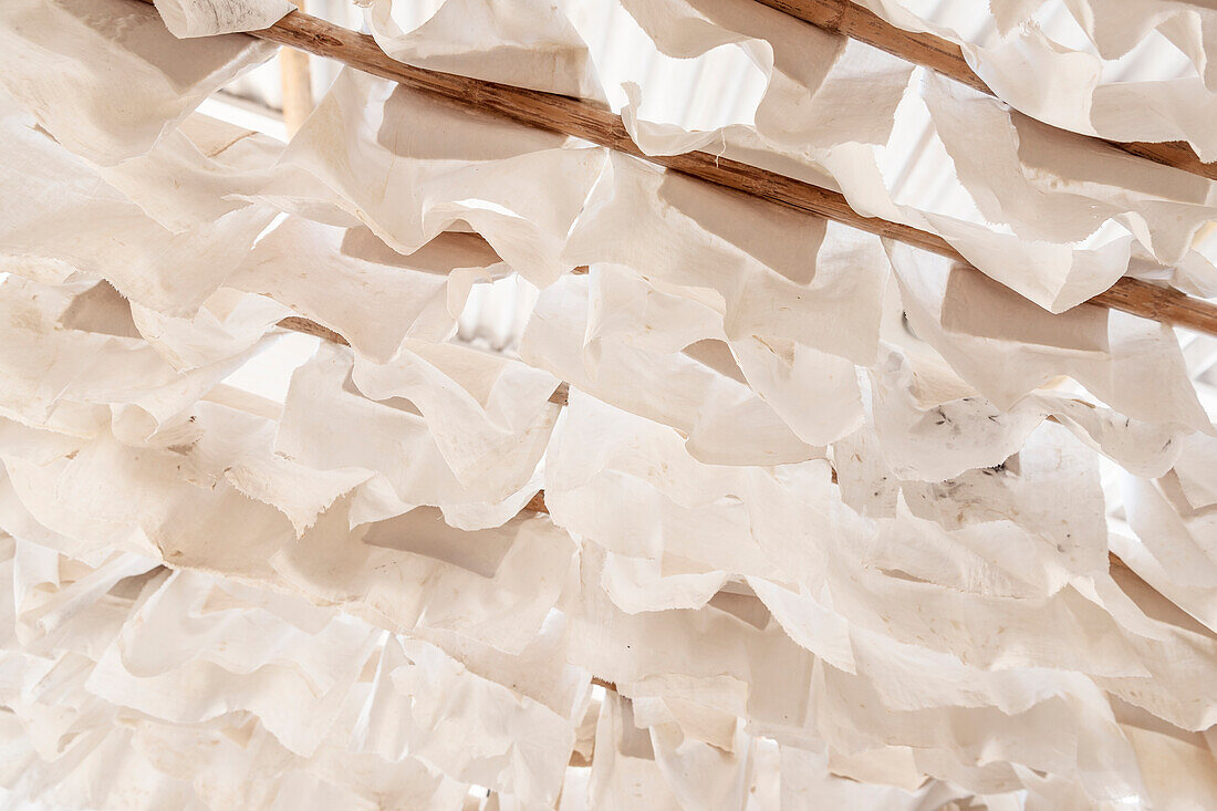 Trocknung des Papiers, historische Papierherstellung in der Fundación San Lorenzo, Barichara, Departmento Santander, Kolumbien, Südamerika