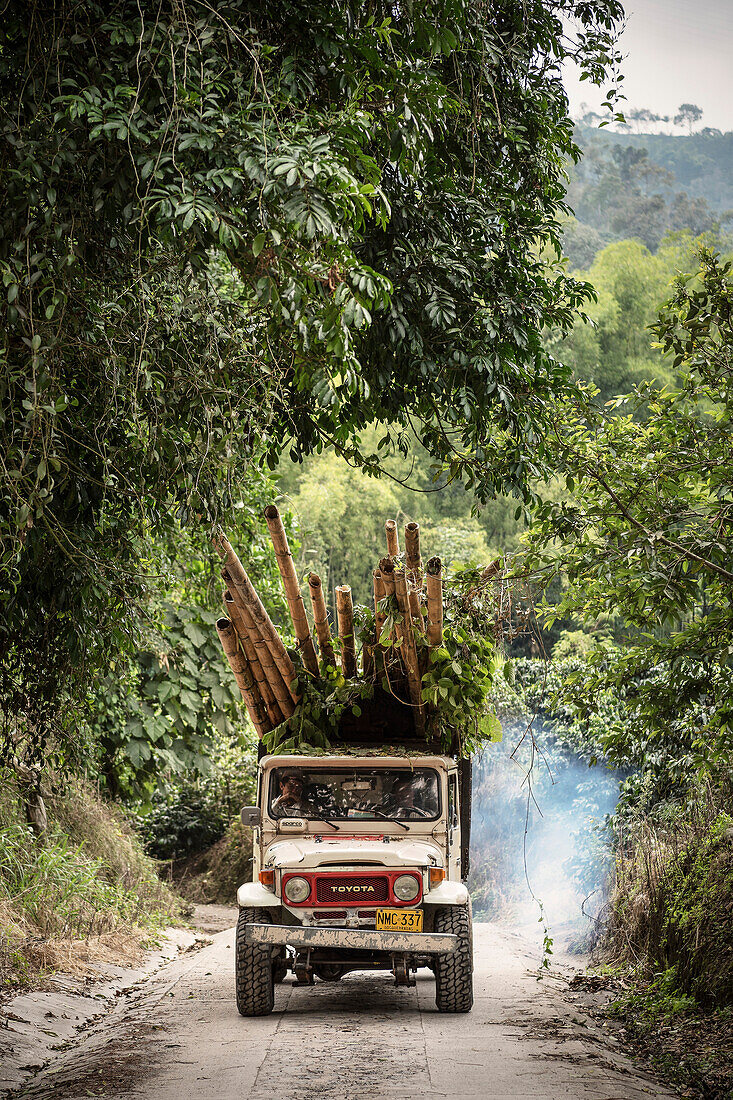 Toyota Geländewagen beladen mit Bambus, Hacienda Venecia bei Manizales, UNESCO Welterbe Kaffee Dreieck (Zona Cafatera), Departmento Caldas, Kolumbien, Südamerika