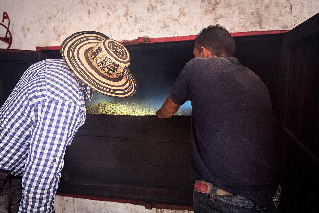 maschinelle Trocknung von Kaffeebohnen, Hacienda Venecia bei Manizales, UNESCO Welterbe Kaffee Dreieck (Zona Cafatera), Departmento Caldas, Kolumbien, Südamerika