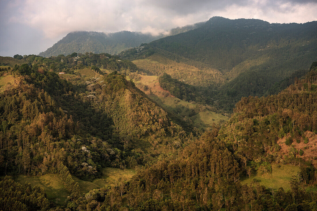 Blick von Salento in das Valle de Cocora, UNESCO Welterbe Kaffee Dreieck (Zona Cafatera), Departmento Quindio, Kolumbien, Südamerika