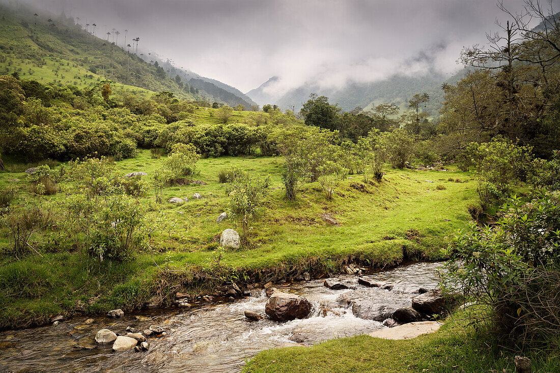 Fluss und Wolkenverhangene Berge, Valle del Cocora, Salento, UNESCO Welterbe Kaffee Dreieck (Zona Cafatera), Departmento Quindio, Kolumbien, Südamerika
