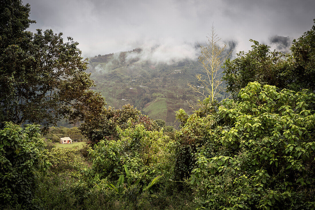 Blick auf das fruchtbare Umland vom Archäologischen Park, San Agustin, UNESCO Weltkulturerbe, Departmento Huila, Kolumbien, Südamerika