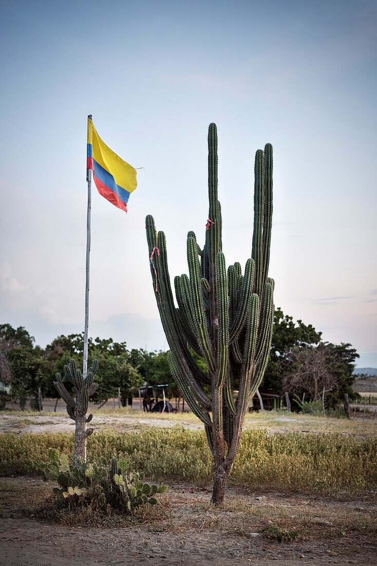 Kaktus und kolumbianische Flagge, Tatacoa Wüste (Desierto de la Tatacoa), Gemeinde Villavieja bei Neiva, Departmento Huila, Kolumbien, Südamerika