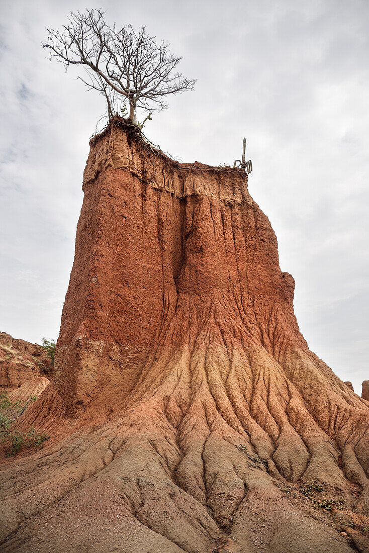 surreal landscape at Tatacoa desert (Desierto de la Tatacoa), township Villavieja nearby Neiva, Departmento Huila, Colombia, Southamerica