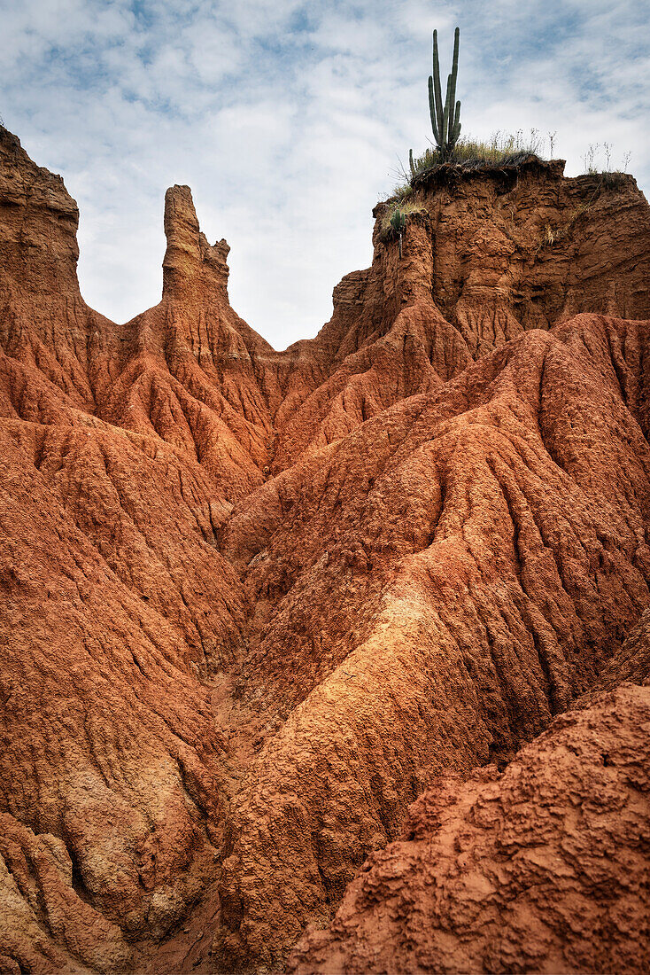 surreal landscape at Tatacoa desert (Desierto de la Tatacoa), township Villavieja nearby Neiva, Departmento Huila, Colombia, Southamerica