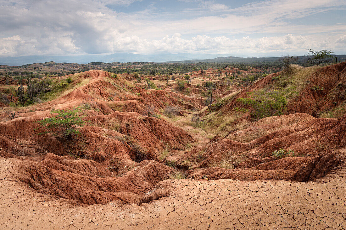 surreale Landschaft in Tatacoa Wüste (Desierto de la Tatacoa), Gemeinde Villavieja bei Neiva, Departmento Huila, Kolumbien, Südamerika