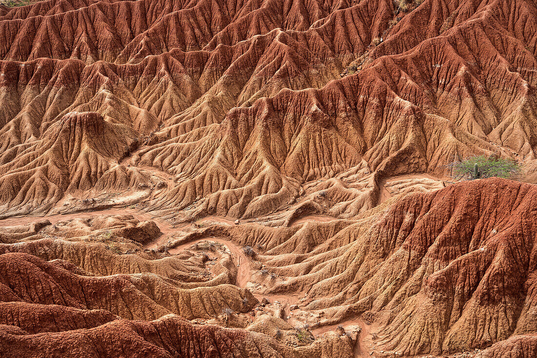 surreal landscape at Tatacoa desert (Desierto de la Tatacoa), township Villavieja nearby Neiva, Departmento Huila, Colombia, Southamerica