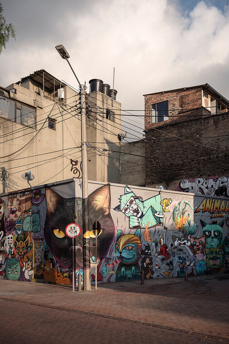 Street Art at capital Bogota, Departmento Cundinamarca, Colombia, Southamerica