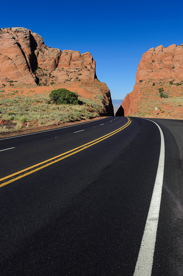 road through the canyon,  Arizona, USA