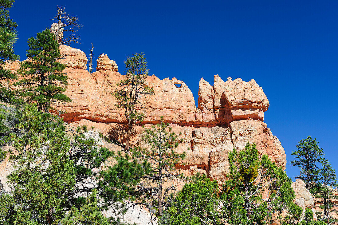 Rock formation, Bryce Canyon, Utah, USA