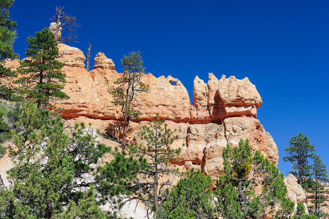 Sandsteinformation im Bryce Canyon, Utah, USA