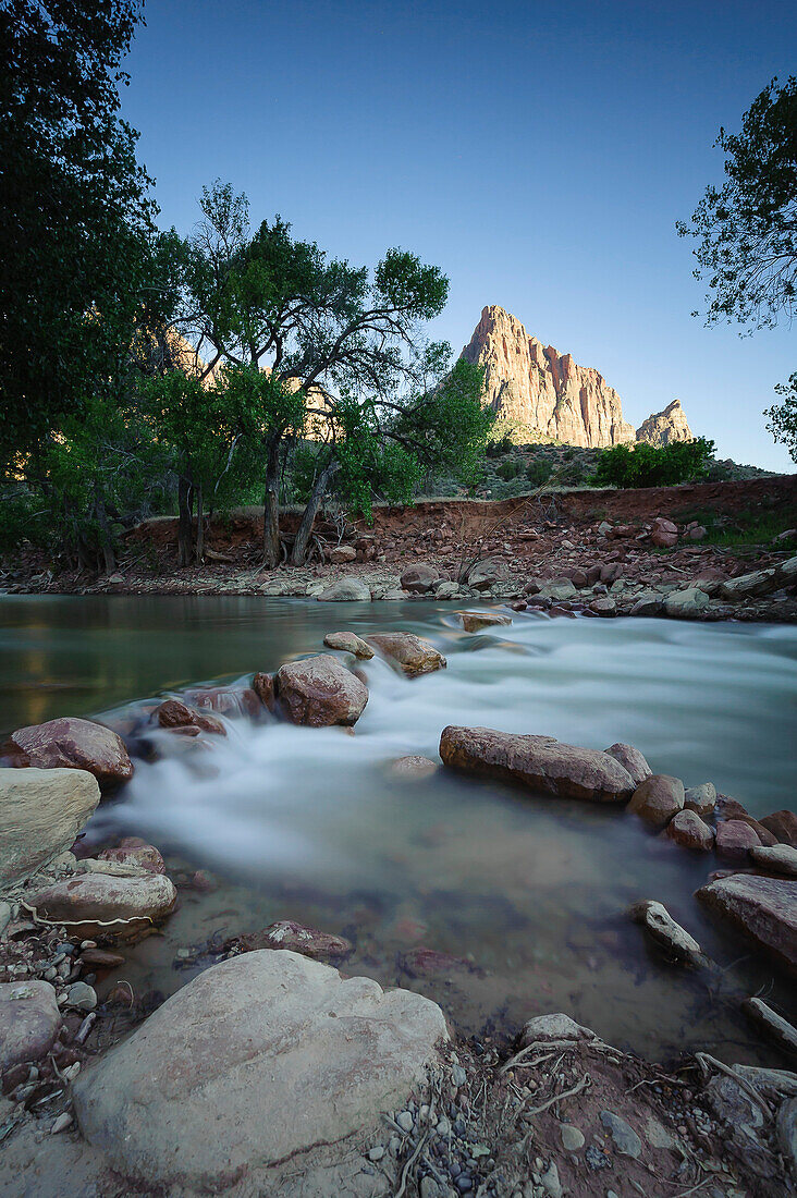 Virgin River and Mount Watchman, Zion Canyon, Utah, USA