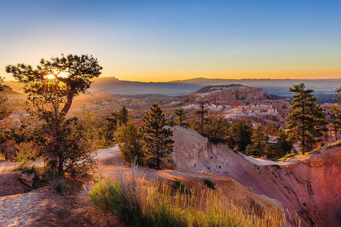 Sonnenaufgang am Bryce Canyon, Utah, USA