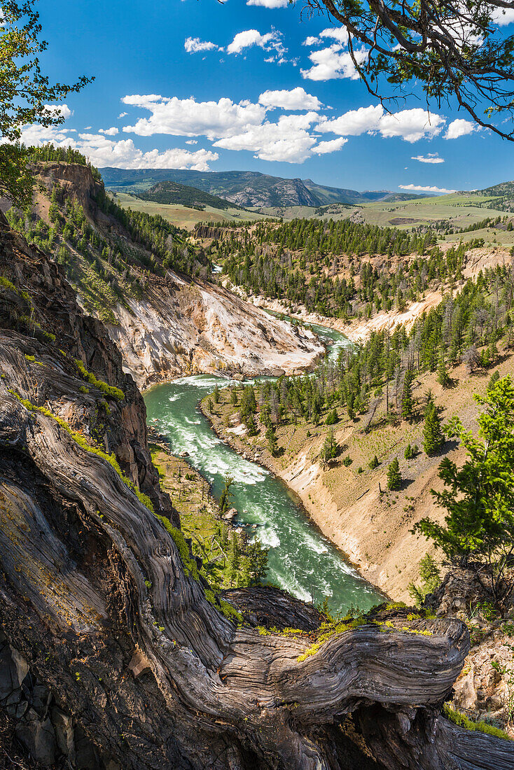 Yellowstone River, Yellowstone Nationalpark, Wyoming, USA