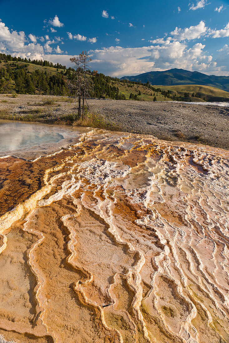 sinter terraces on the Roaring mountain, Yellowstone National parc, Wyoming, USA