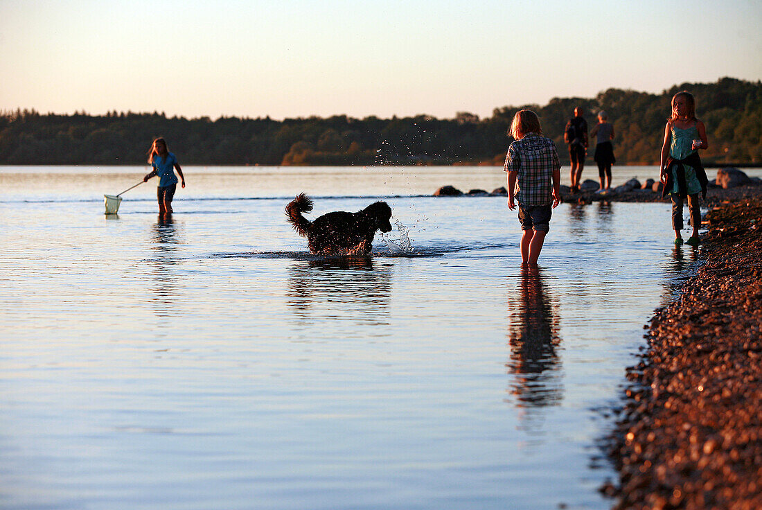 Kinder, ein Hund und ein Pärchen haben Spaß am Chiemsee-Strand bei Chieming kurz vor Sonnenuntergang