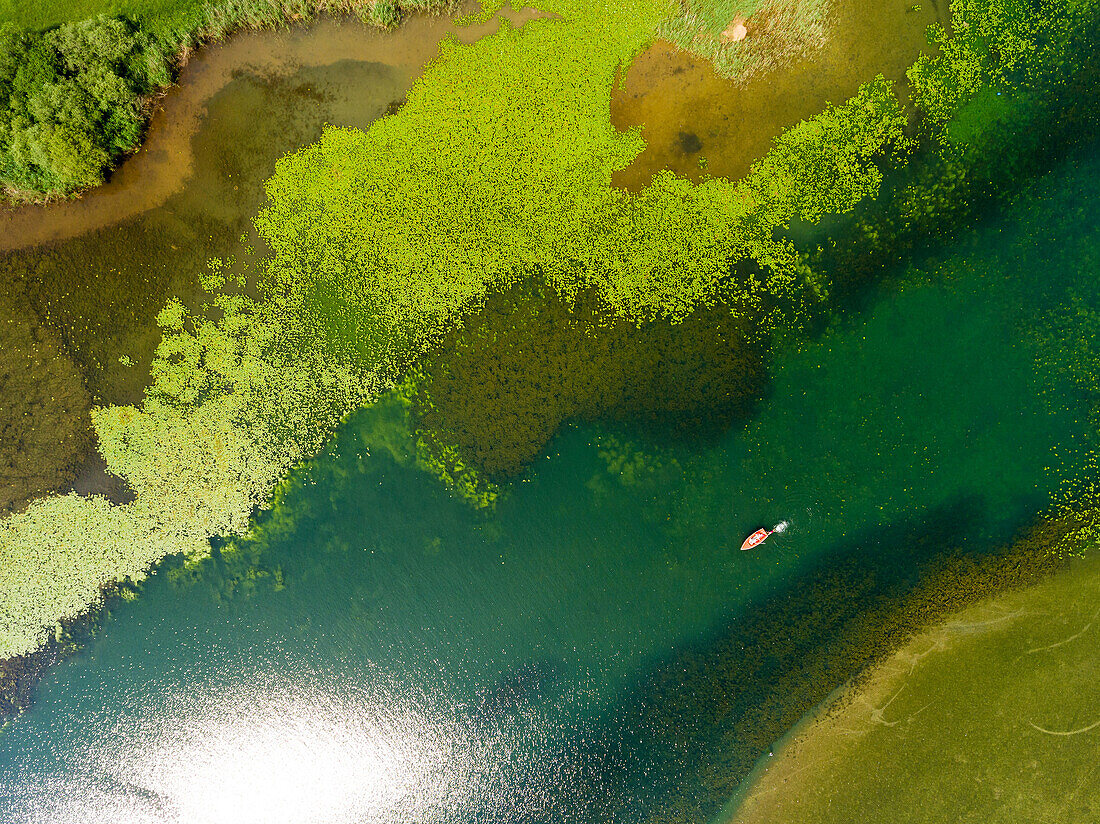 Luftaufnahme der Feldwieser Bucht im Chiemsee; kleines Segelboot und schwimmende Person inmitten prächtiger Grünschattierungen von Wasserpflanzen und Seewasser