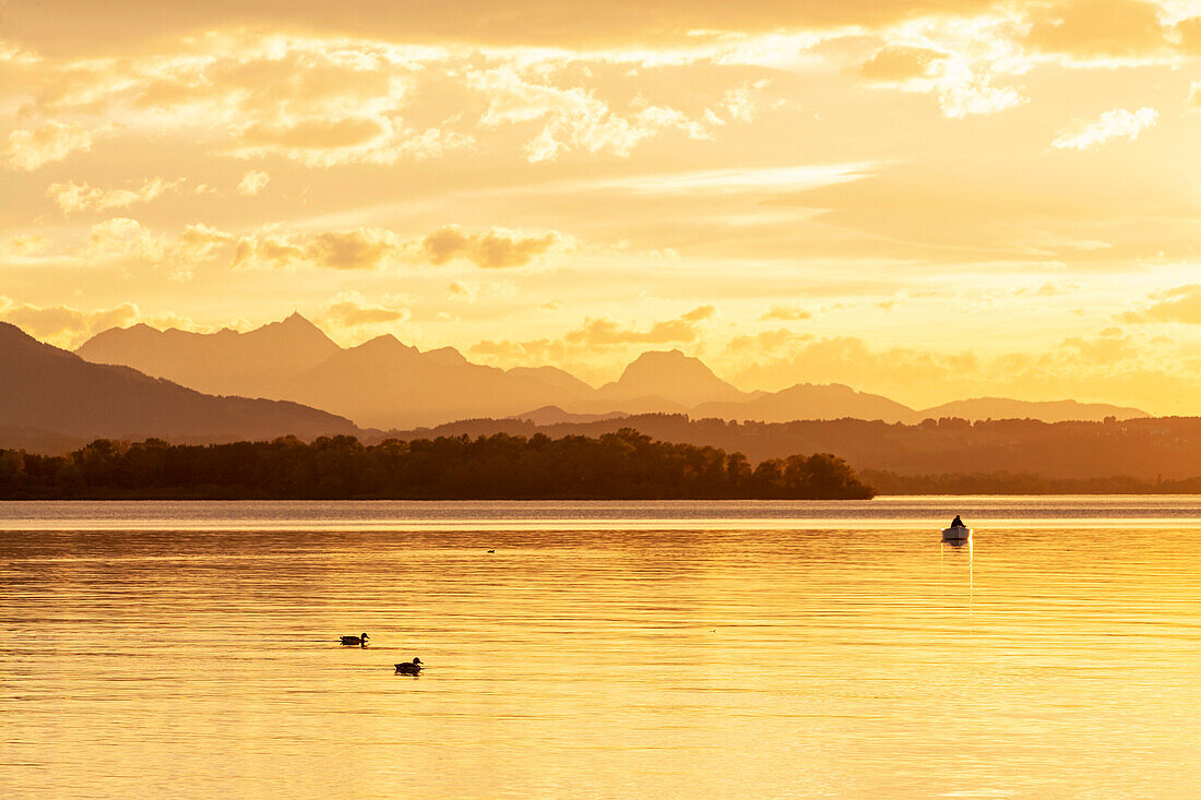 Ducks and fisherman in boat in the last evening light on the Chiemsee lake, shore and mountains as silhouettes in the background