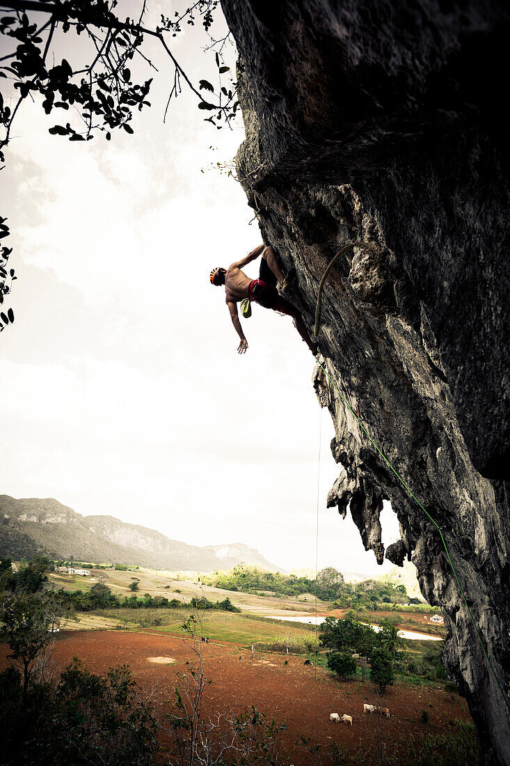 Rock Climbing in the Valle de Vinales, UNESCO National Park,  Pinar del Rio, Cuba, Caribbean, Latin America, America