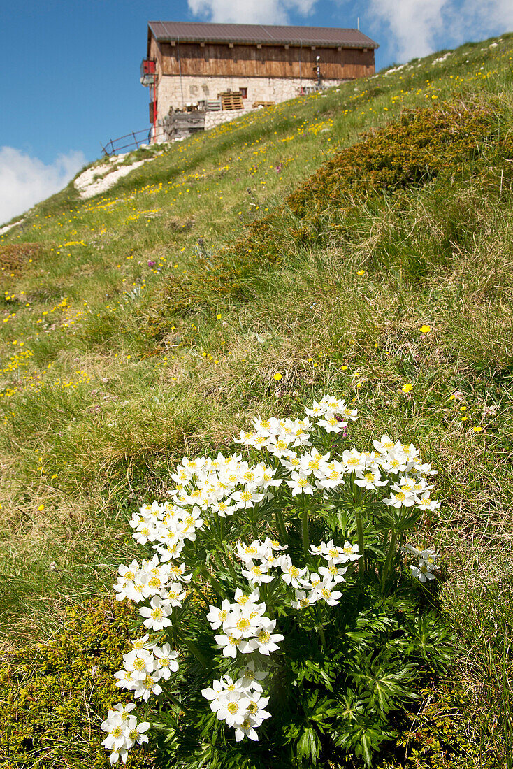 The mountain hut Rifugio Duca degli Abruzzi