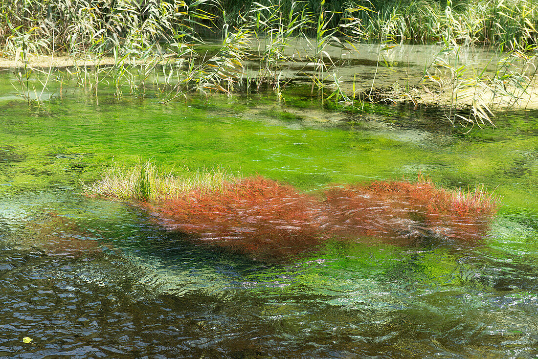 Die Quelle des Pescara Flusses nahe des Ortes Populi, Populi, Abruzzen, Italien